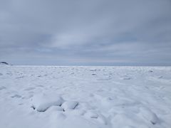 Ђ̃ViSHINRAjւ̓eʐ^1