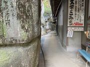 �E�b�L�[����̕��w�̂��݂��̓��e�ʐ^1