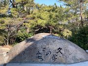 �E�b�L�[����̕��w�̂��݂��̓��e�ʐ^1