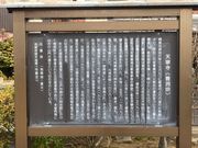 �E�b�L�[����̓V�J���̓��e�ʐ^1