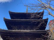 �E�b�L�[����̓V�J���̓��e�ʐ^1