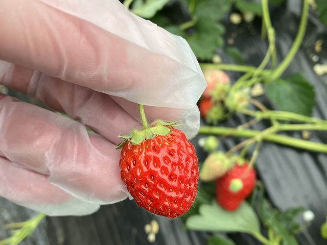 ���Ԃ�ŊÁ[��������_�������_���@��t�@�[��