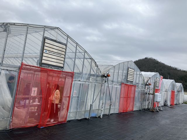 5���̓r�j�[���n�E�X_�������_���@��t�@�[��