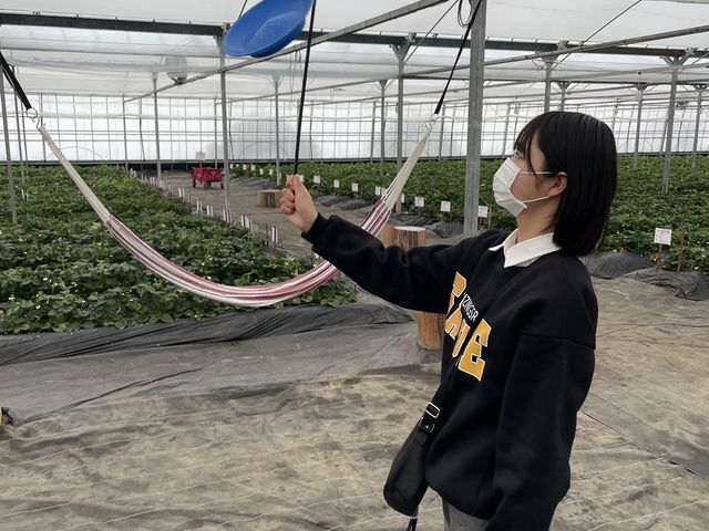 �M�񂵉񂹂�悤�ɂȂ�܂���_�V��̂���������ʐ^�� �܂邩����