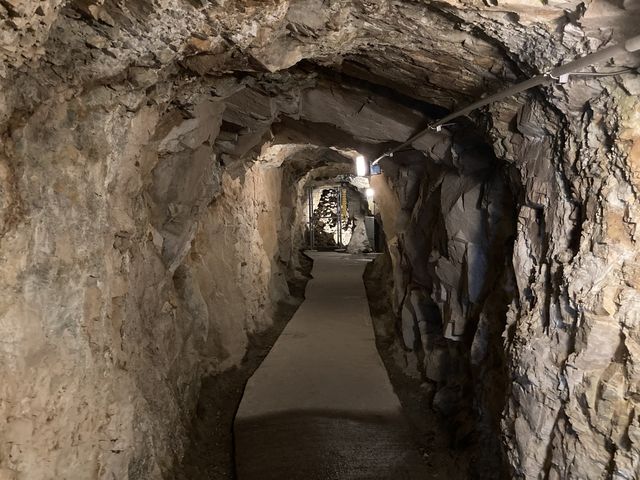 �̌@��_���j�Ց��c�⓺�R���