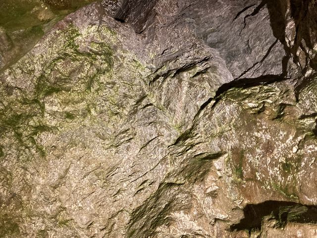 �΂̕�������C�ɐG�ꂽ��_���j�Ց��c�⓺�R���