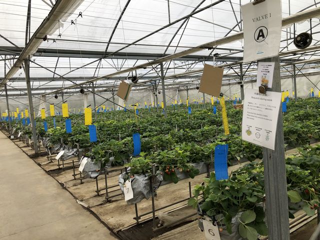 �������_��_���b�`�t�B�[���h�Ó�_��