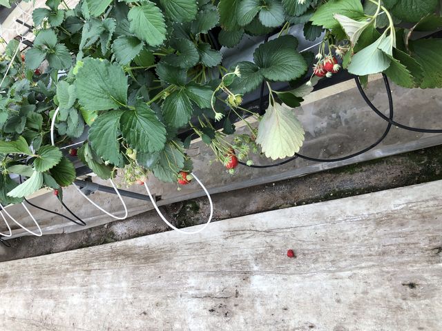 �����_���b�`�t�B�[���h�Ó�_��