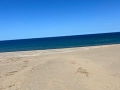 Ɓ[邳̒捻upOC_[XN[iu{܁jւ̓eʐ^1