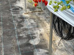 ibV[̐_ˎOcȂ_ւ̓eʐ^1