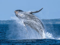 satoshĩ}Vbv }[Chւ̓eʐ^2