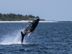 satoshĩ}Vbv }[Chւ̓eʐ^3