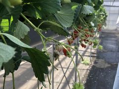 ܂̂䂤䂤_ւ̓eʐ^1