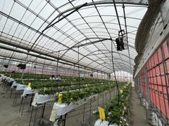 ނCiel farm(VGt@[jւ̓eʐ^1