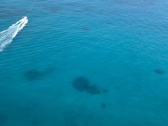 emĩpZ[O@u[zkւ̓eʐ^1