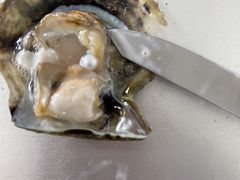 ݂̐^H[@^̗ւ̓eʐ^1