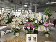 ܂ڂ񂳂̌mZ^[̓eʐ^1