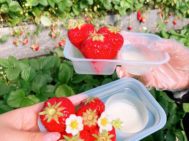 �������Ԃ��E�ނƉ����B��܂�_�ÎR�_��