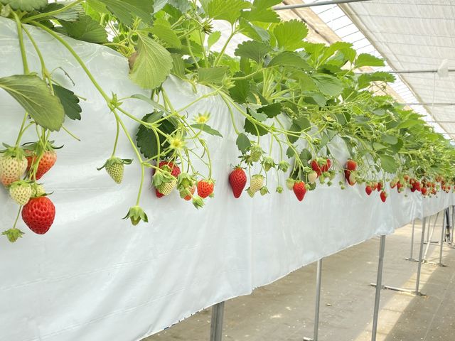 ���͂��ꂢ�ɕۂ���Ă��܂����B_�R���R���������t�@�[��