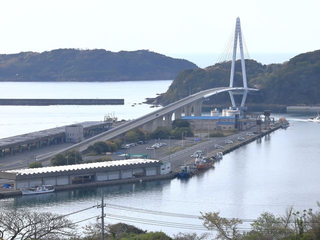 �l�c�}�����勴_���̉w �䂤�Ѓp�[�N�l�c