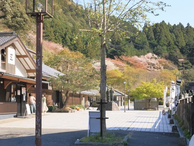 【レア】道の駅きっぷ 萩往還 010番 キリ番号 山口県 道の駅 萩往還 | 一般社団法人萩物産協会