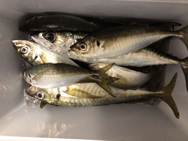 �務�I�I_��D�[��