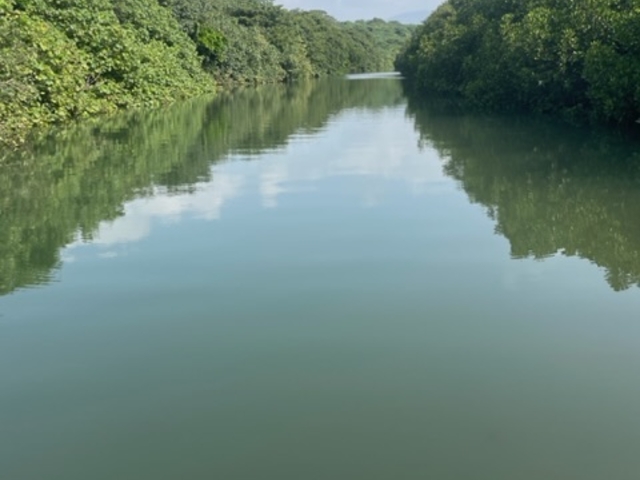 �����������̃v���C�x�[�g�N���[�Y_PADDLE&NAPS