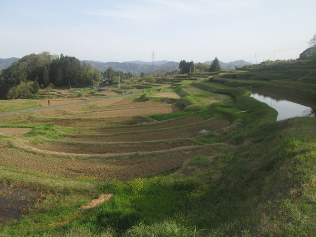 pȂs`̓cڂAȂ܂B_R̒Ic