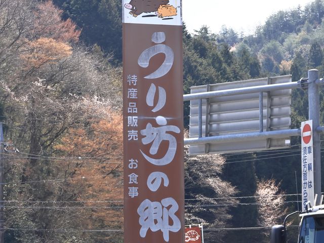 ���H���Ŕ�_���̉w ����V�̋�katamata