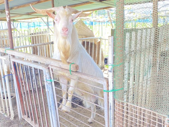 Ƃ̐Gꍇy߂܂B_ނ̂ӂ[