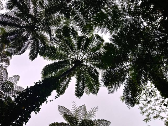 �ό��K�C�h�}�b�v�̂Ƃ���ł��B_�����g���b�N