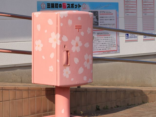 sN̗X֎󂯁I_̉w 䂤Ѓp[NO