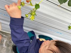 rkSEN's Berry Farmւ̓eʐ^1