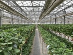 c̕xÃANAt@[ւ̓eʐ^1