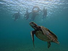 corazonCHURA{Óւ̓eʐ^1