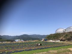 eVI̓V̂ʐ^ ܂邩ւ̓eʐ^1