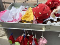 ̃Xgx[K[f@܂ւ̓eʐ^4