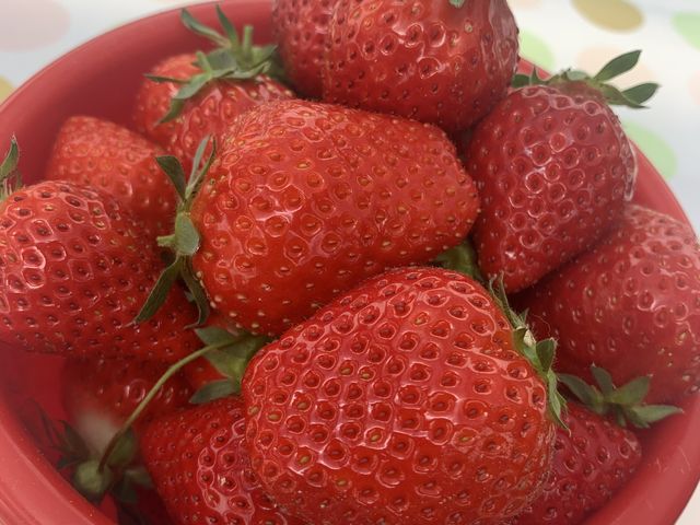 �w�^������Ԃ������������Â��ƕ����܂����c_�_���g���@�l�@���Ă�܉c�_�g��