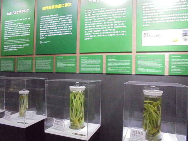 킳т̕W{_ɓ킳у~[WA