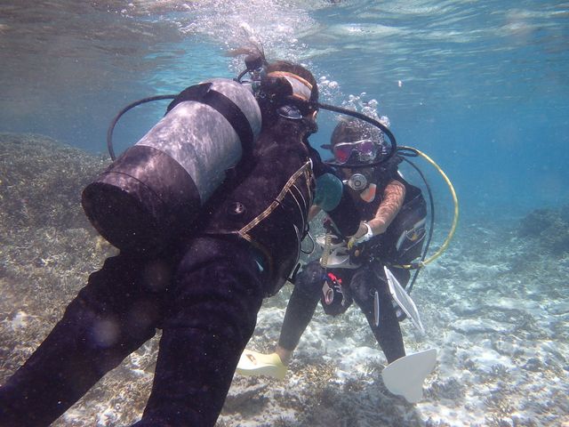 ���葫���Ή����Ă���܂���_BLUE ALOHA�{�Ó�