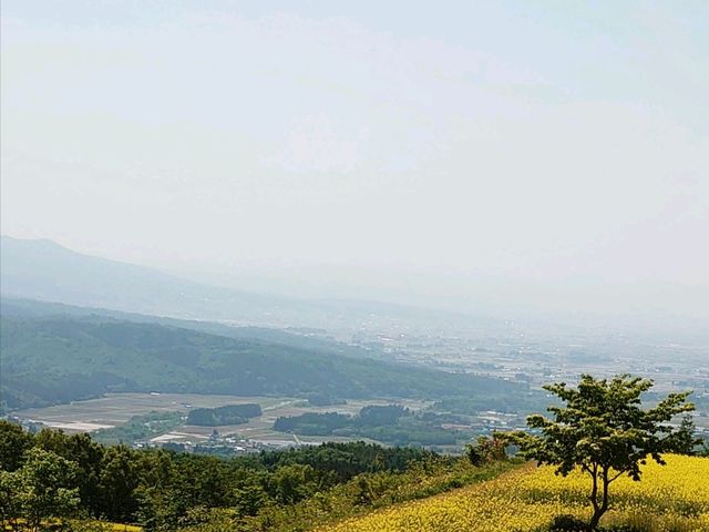 ��i_�O�m�q�X�L�[��