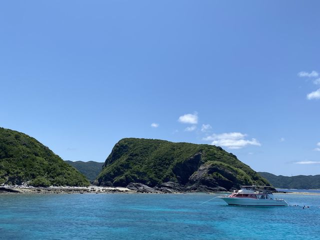 �V�C���ǍD_�W���C�N���G�C�g���� �e�B�[�_