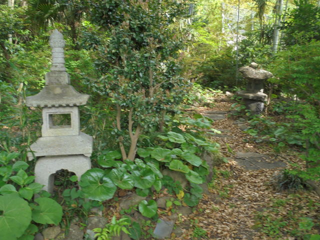 񂳂̏Íb{X G̓eʐ^20