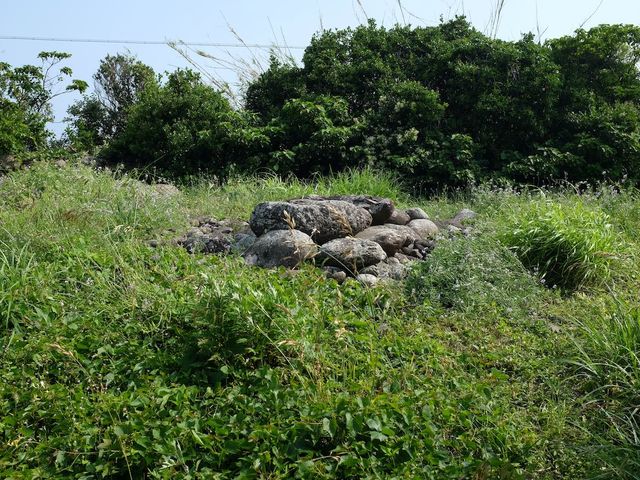 whales����̌����W�[�R���{�Õ��Q�̓��e�ʐ^1