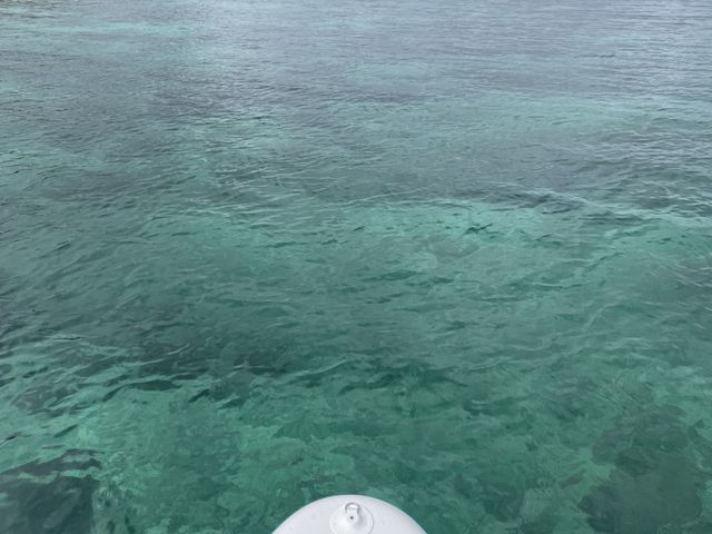 �܂��Ă��Ă��Y��I_�䂤����