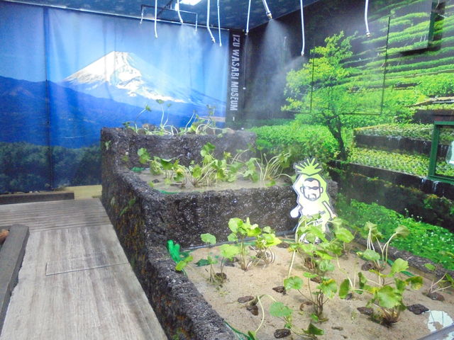 �ɓ��킳�щ��@�R�{�H�i�X
�X���@�킳�ѓc_���̉w�ɓ��Q�[�g�E�F�C����