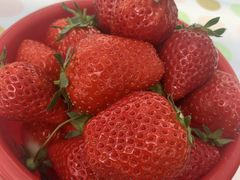 ۂ񂳂̔_g@l@Ă܉c_gւ̓eʐ^1