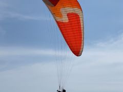 [̒捻upOC_[XN[iu{܁jւ̓eʐ^1