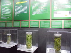 񂳂̈ɓ킳у~[WAւ̓eʐ^5