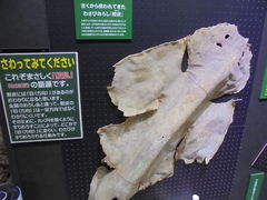 񂳂̈ɓ킳у~[WAւ̓eʐ^6